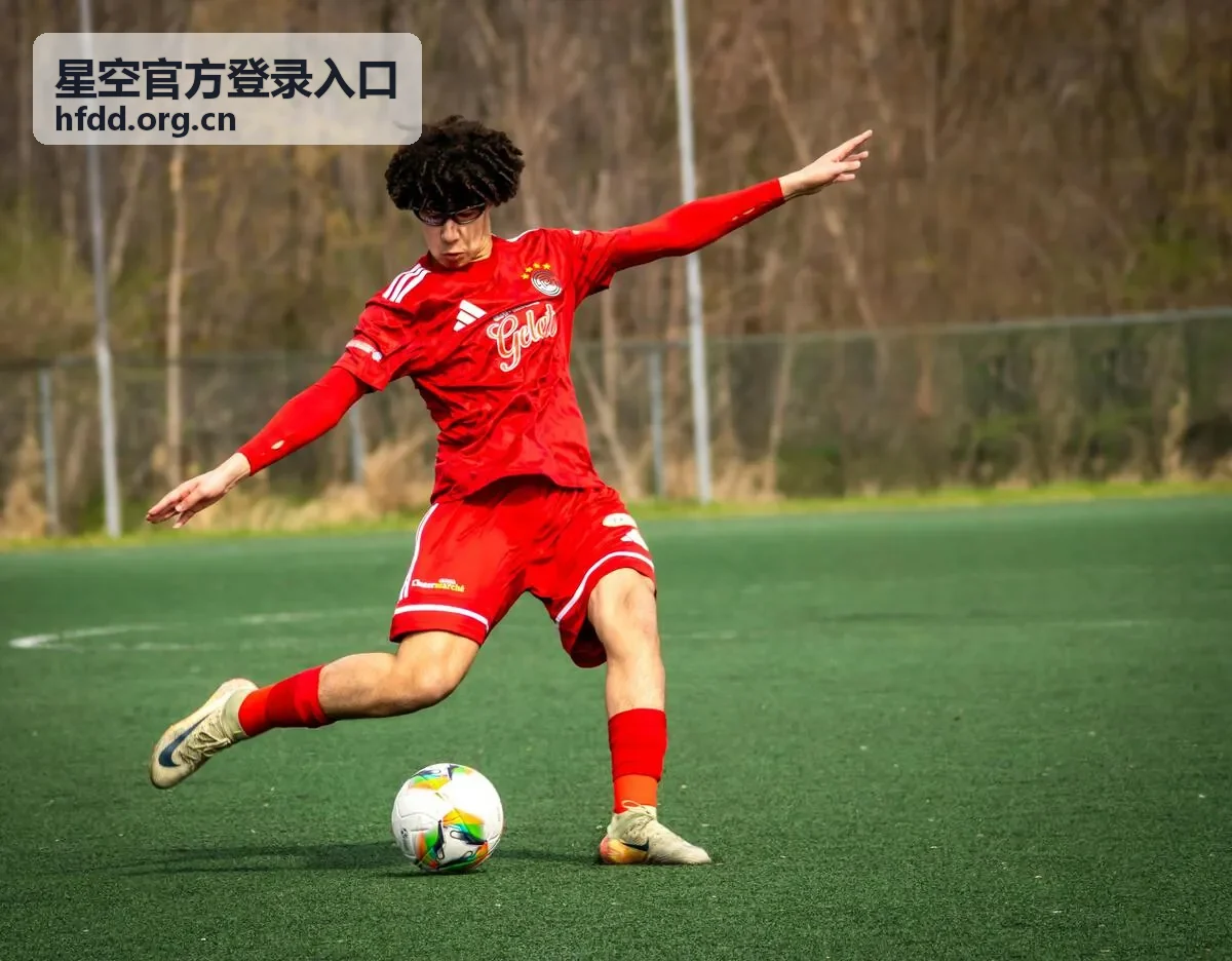 星空官方登录入口地址核对示意